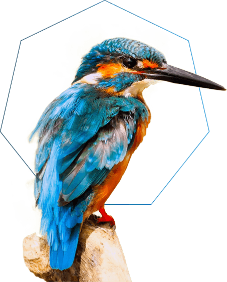 Alkion – Čistíme odvětrávací potrubí