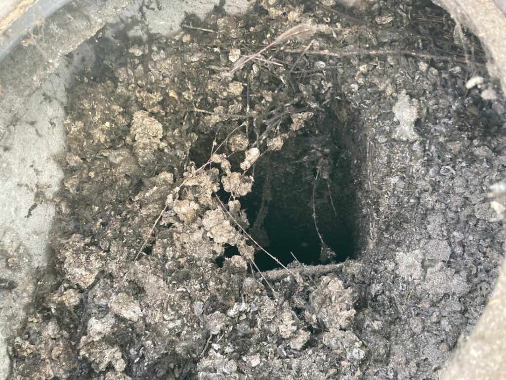 Ucpané potrubí holubím trusem