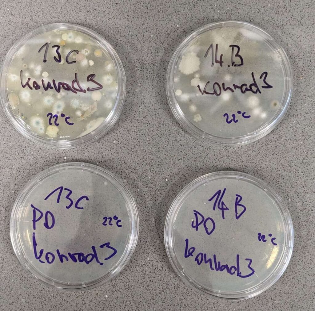 Unikátní vědecký projekt Alkionu s VUT a MUNI